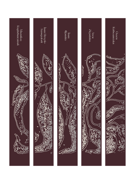 Комплект книжок &laquo;Подарункова класика&raquo; 2000000000169 фото
