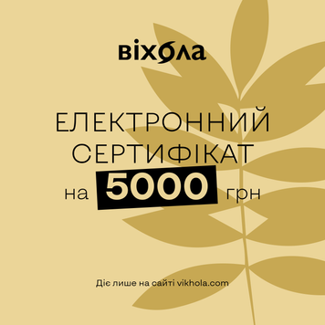 Електронний подарунковий сертифікат на 5000 грн 2000000000572 фото