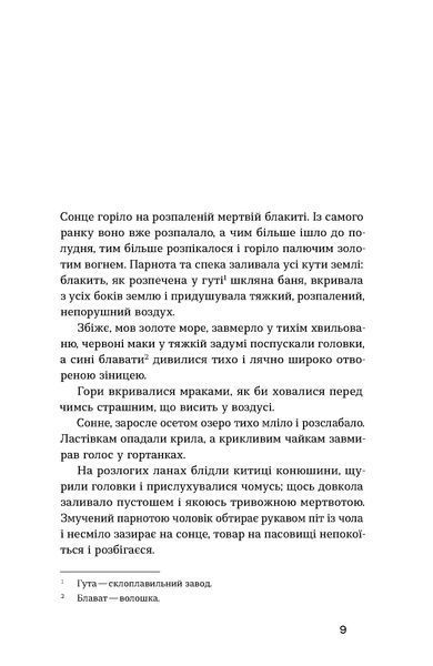Наталя Кобринська &laquo;Хмарниця. Оповідання&raquo; 9786178606619 фото