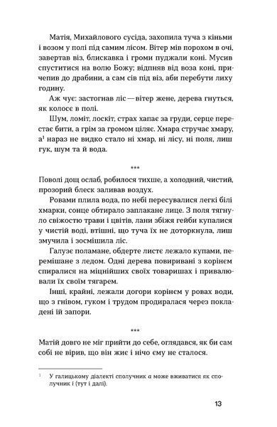 Наталя Кобринська &laquo;Хмарниця. Оповідання&raquo; 9786178606619 фото