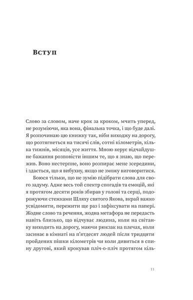 Максим Беспалов &laquo;Найкраща книжка про Каміно. Історія дороги з тисячею імен&raquo; 9786178257033 фото