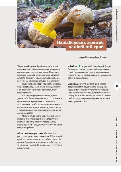 Микола Придюк &laquo;Як і де збирати гриби&raquo; 9786178782207 фото