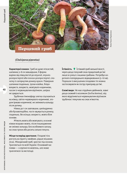 Микола Придюк &laquo;Як і де збирати гриби&raquo; 9786178782207 фото