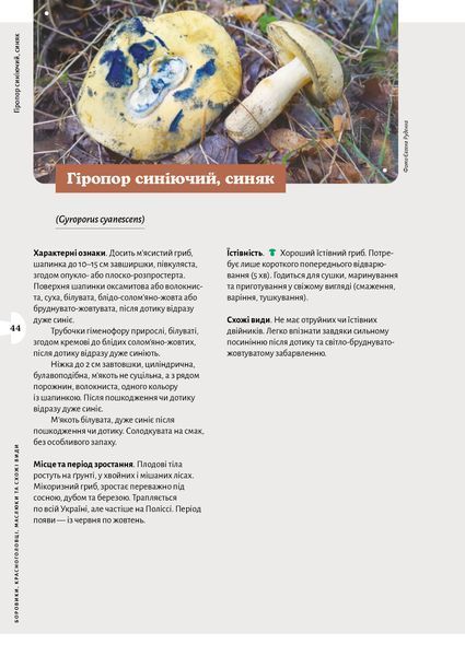 Микола Придюк &laquo;Як і де збирати гриби&raquo; 9786178782207 фото