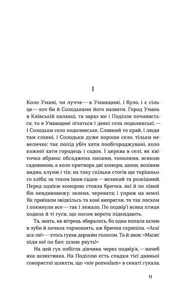 Анатолій Свидницький &laquo;Люборацькі&raquo; 9786178517076 фото